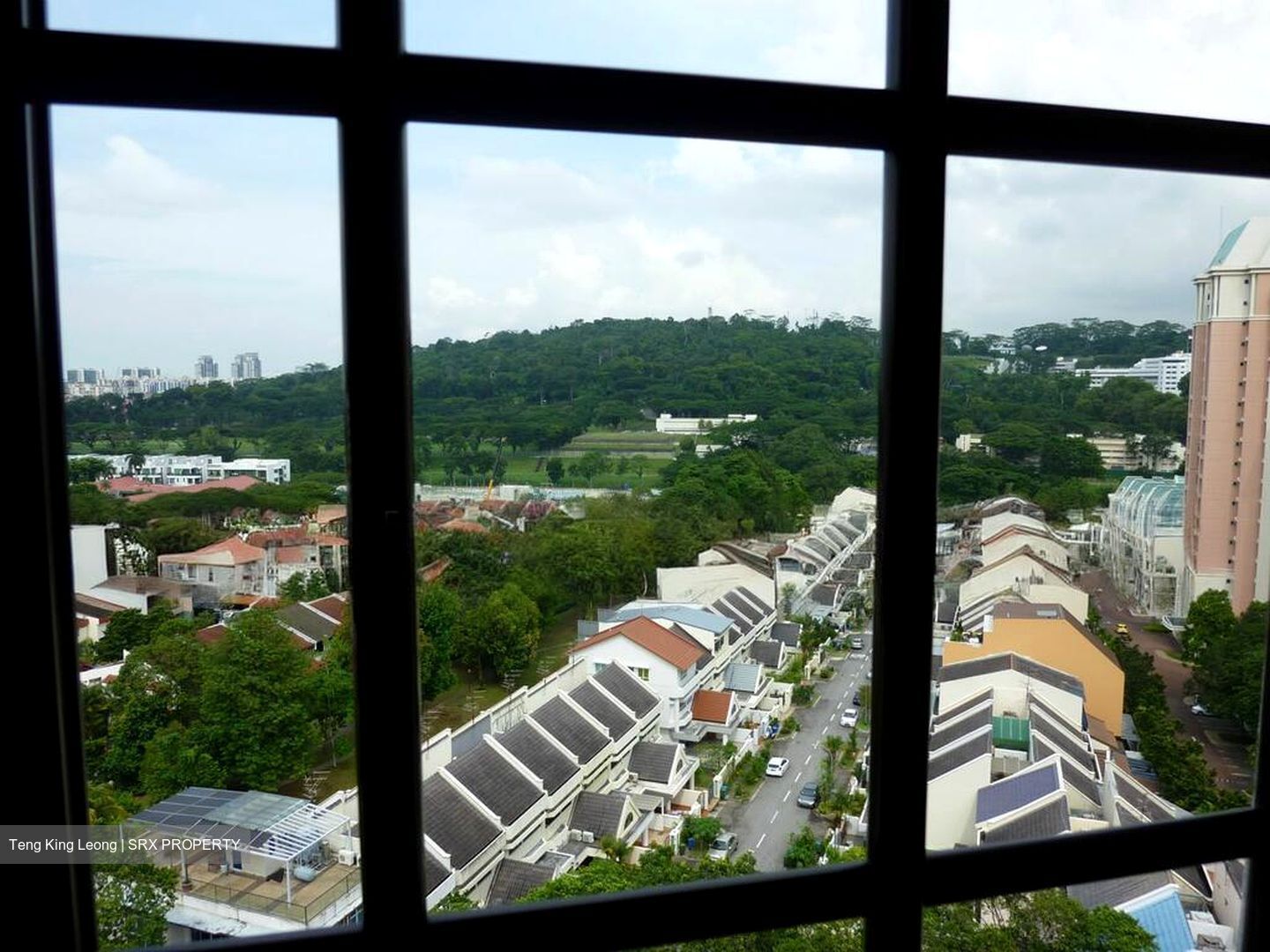 Cashew Heights Condominium (D23), Condominium #503723301